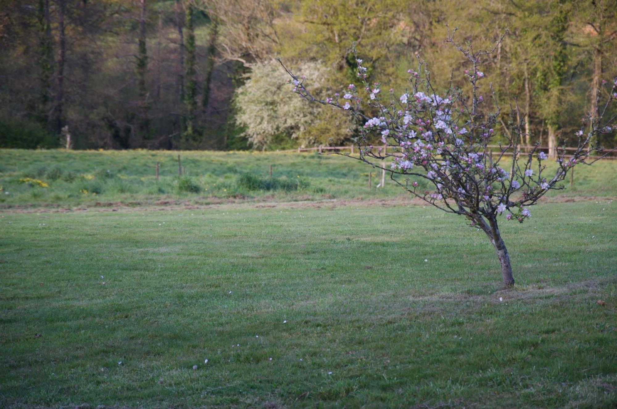Gite Le Champ Libre Dompierre-Sur-Yon Bagian luar foto